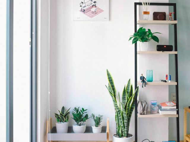 Persoonlijke opruimcoach